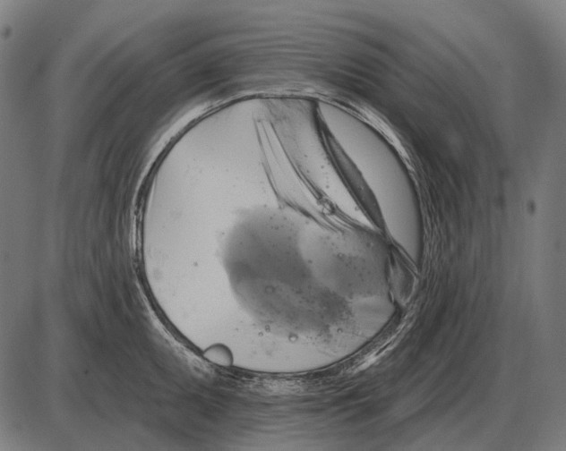 X0000084021095200703161733