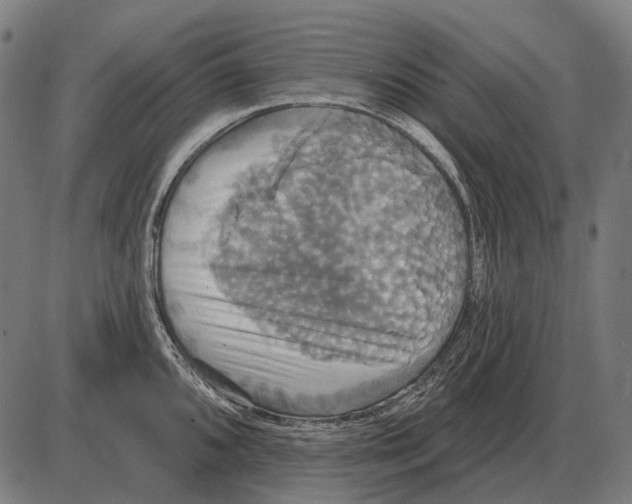 X0000084021096200703161733