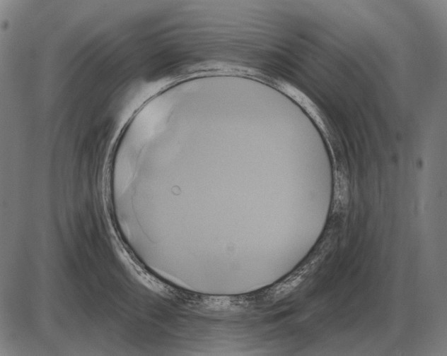 X0000084021098200703161733