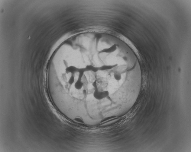 X0000084021099200703161733