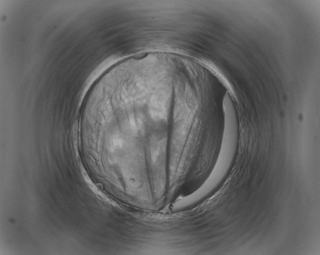 X0000084021100200703161733