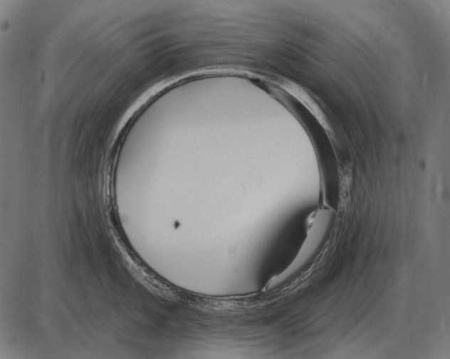 X0000084021101200703161733