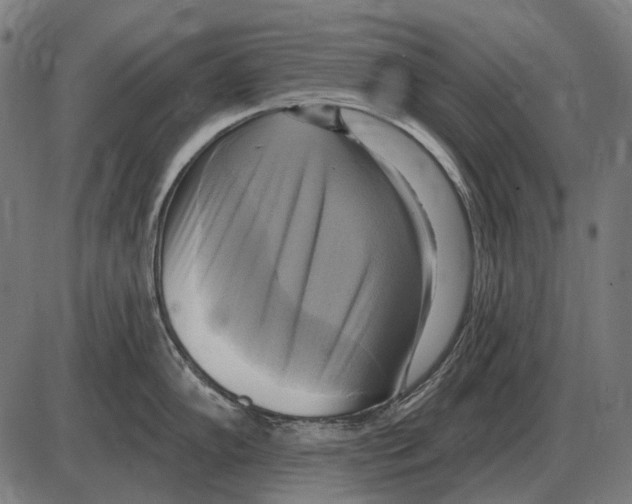 X0000084021102200703161733