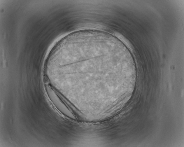 X0000084021104200703161733