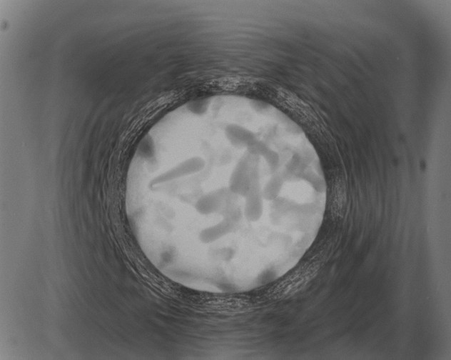 X0000084021105200703161732