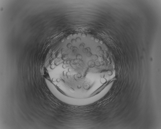 X0000084021106200703161732