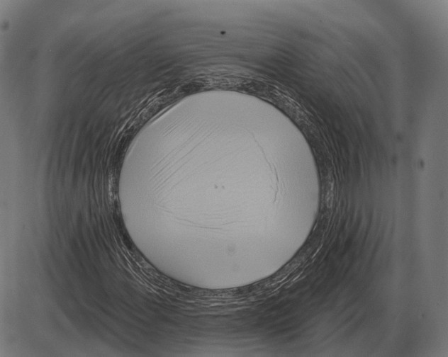 X0000084021108200703161732