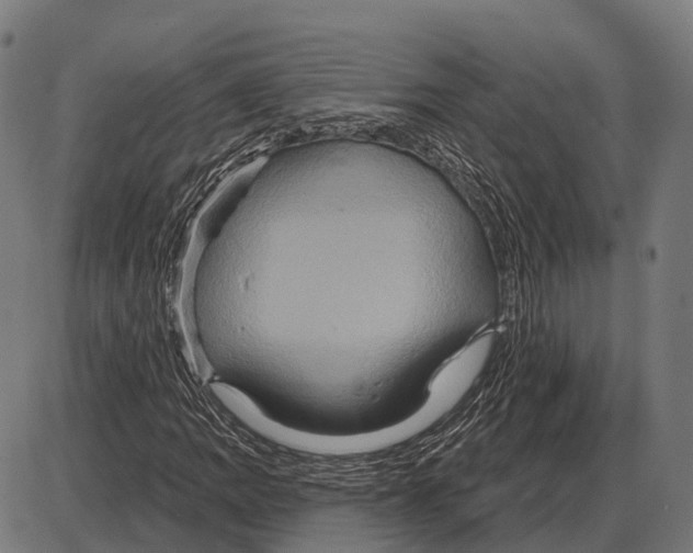 X0000084021109200703161732