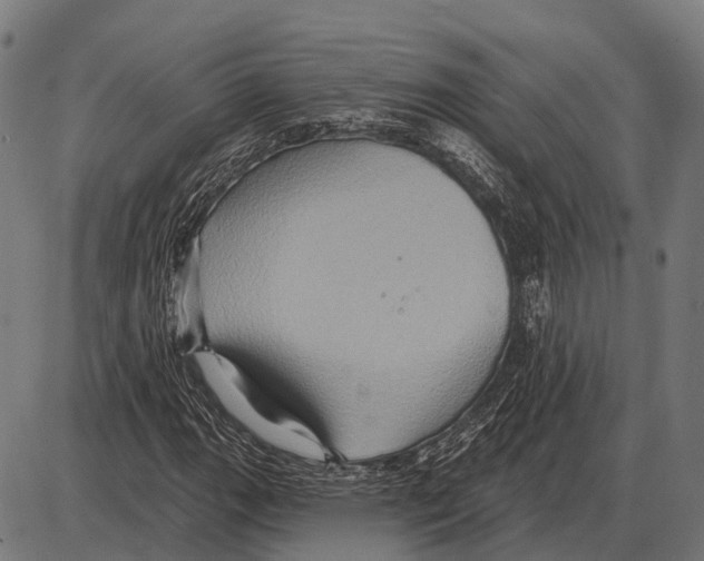 X0000084021111200703161732