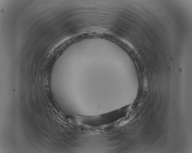 X0000084021112200703161732