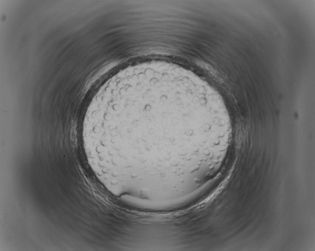 X0000084021113200703161732