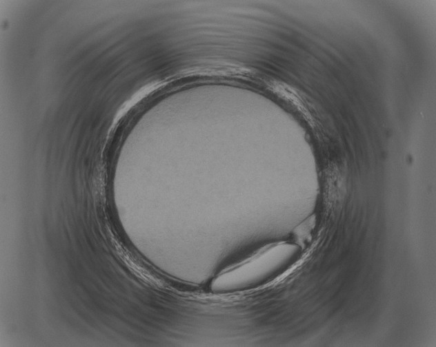 X0000084021114200703161732