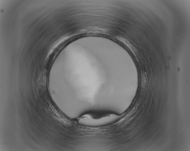 X0000084021115200703161732