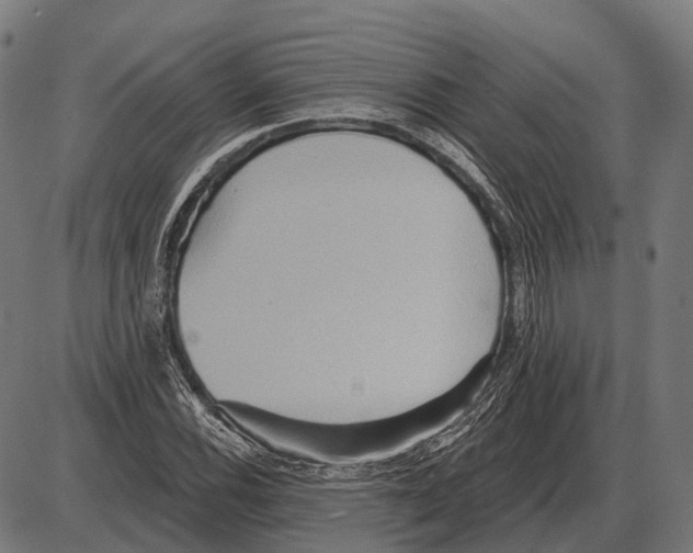 X0000084021116200703161732