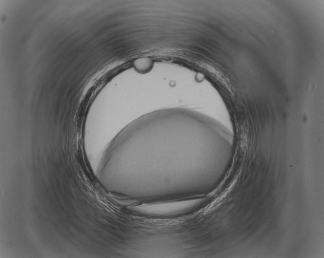 X0000084021117200703161732