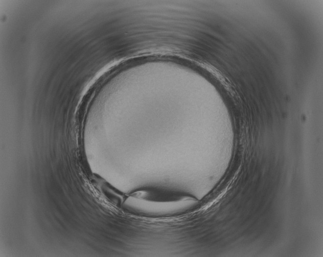 X0000084021118200703161732