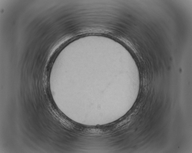 X0000084021119200703161732