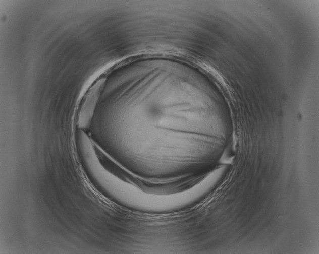 X0000084021120200703161732