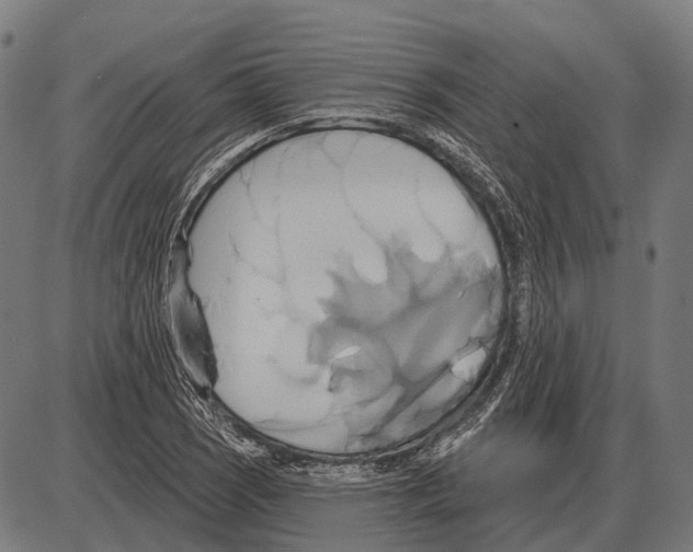 X0000084021121200703161732