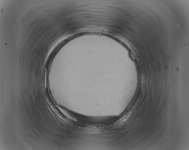 X0000084021123200703161732