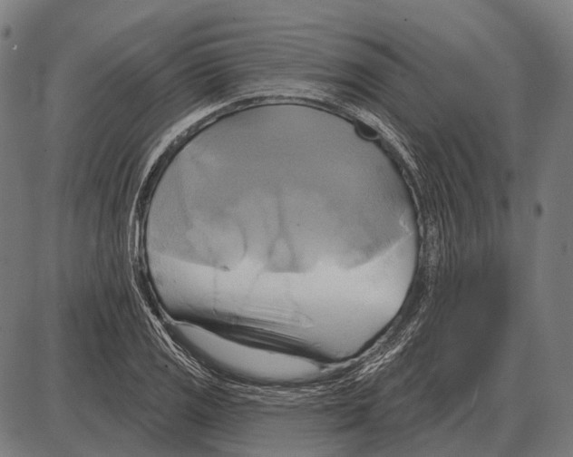 X0000084021125200703161732