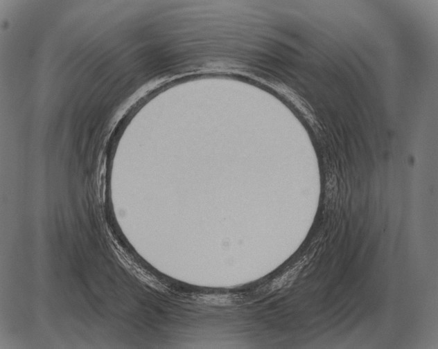 X0000084021126200703161732