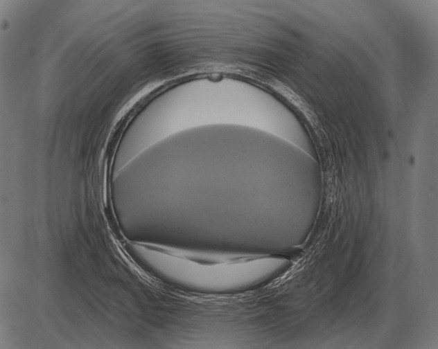 X0000084021127200703161732