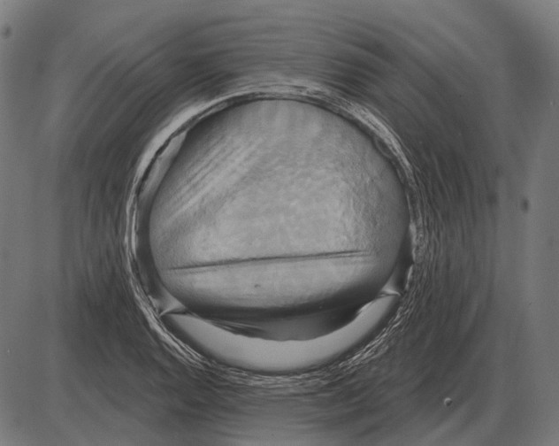 X0000084021128200703161732