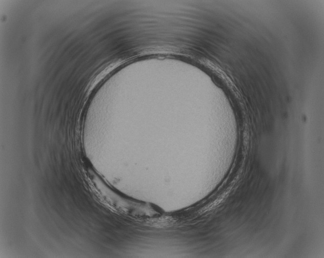 X0000084021129200703161732