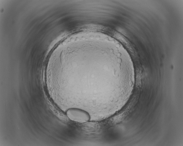 X0000084021130200703161732