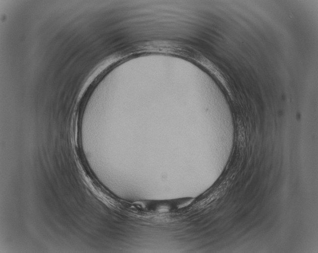 X0000084021131200703161732