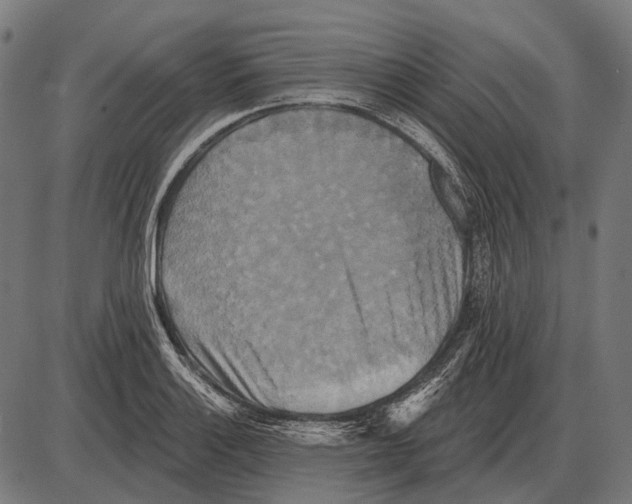 X0000084021132200703161732