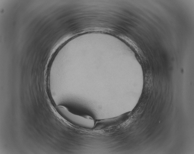 X0000084021135200703161733