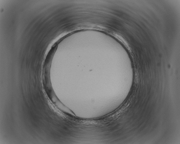 X0000084021136200703161733