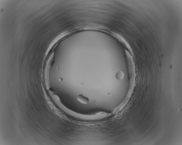 X0000084021138200703161733