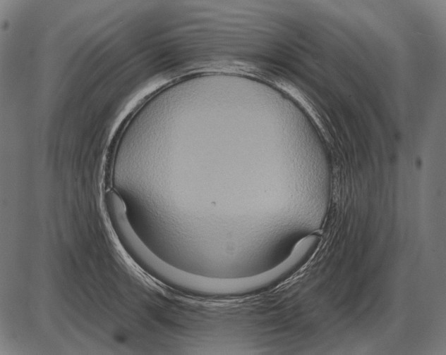 X0000084021139200703161733