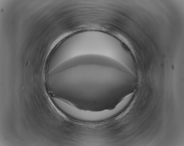 X0000084021141200703161733