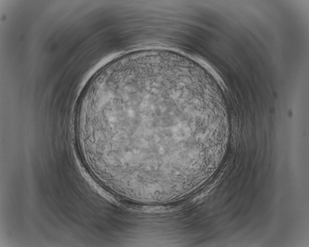 X0000084021142200703161733