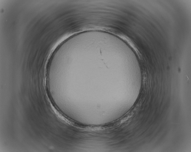 X0000084021143200703161733