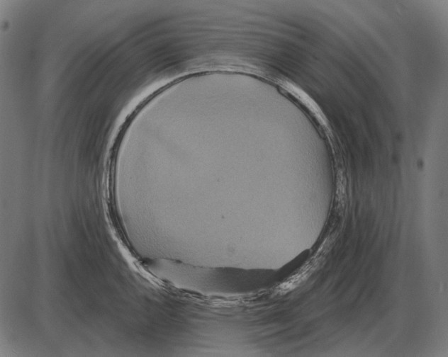 X0000084021144200703161733