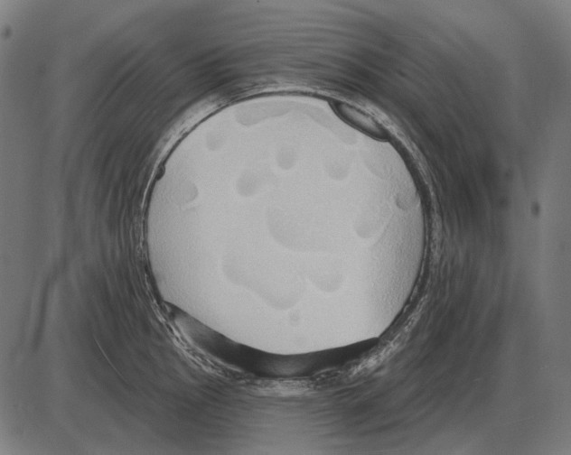 X0000084021145200703161733