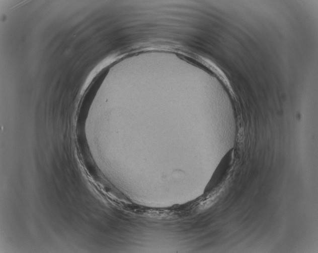 X0000084021146200703161733