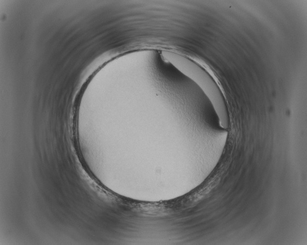 X0000084021147200703161733