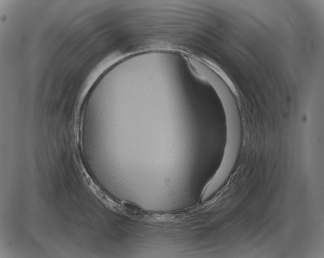 X0000084021148200703161733