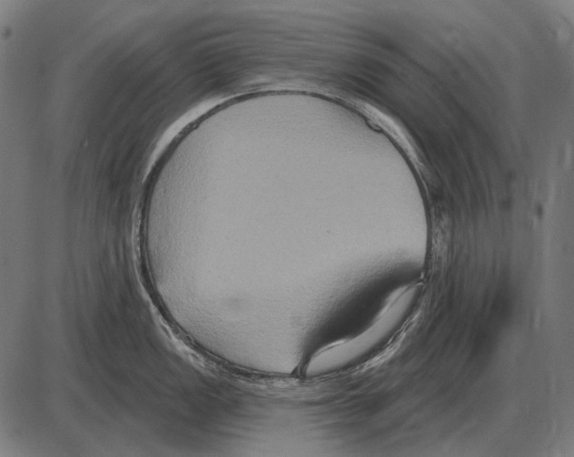 X0000084021149200703161733