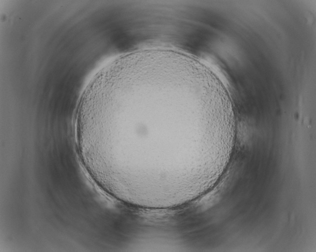 X0000084021150200703161733