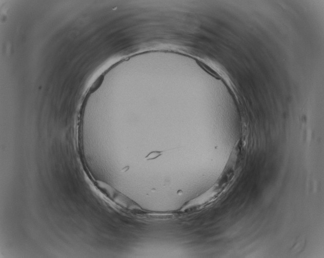 X0000084021151200703161733