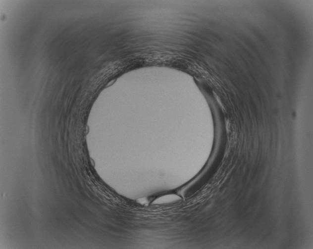 X0000084021153200703161732