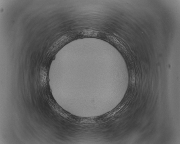 X0000084021154200703161732