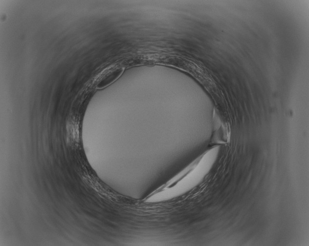 X0000084021155200703161732